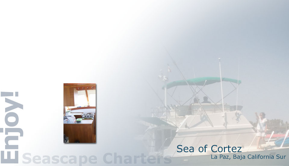 Seascape Charters - Sailboat, Powerboat, and RV Chartering in La Paz Mexico.